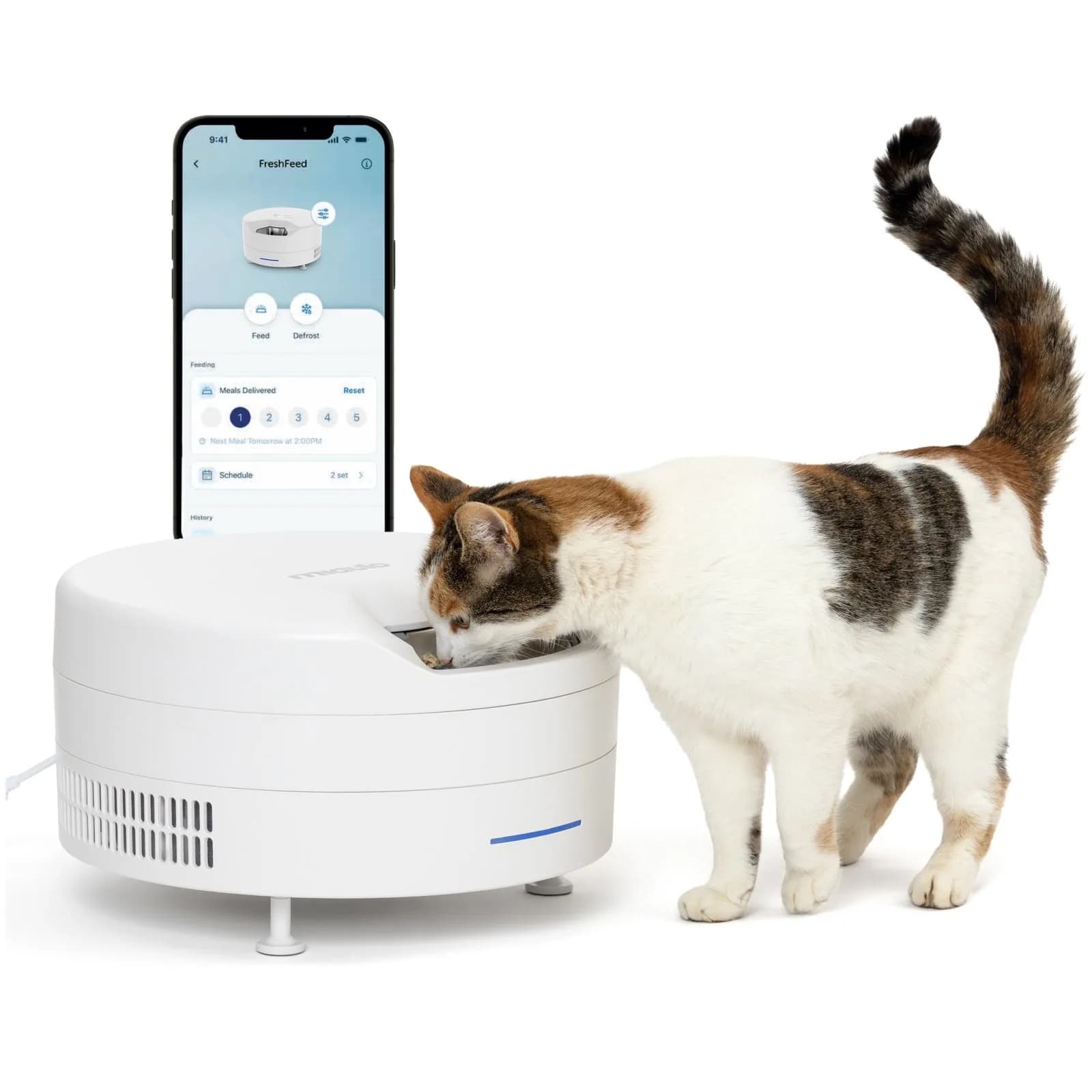 Cat eating from Miaulo Fresh, shown in white