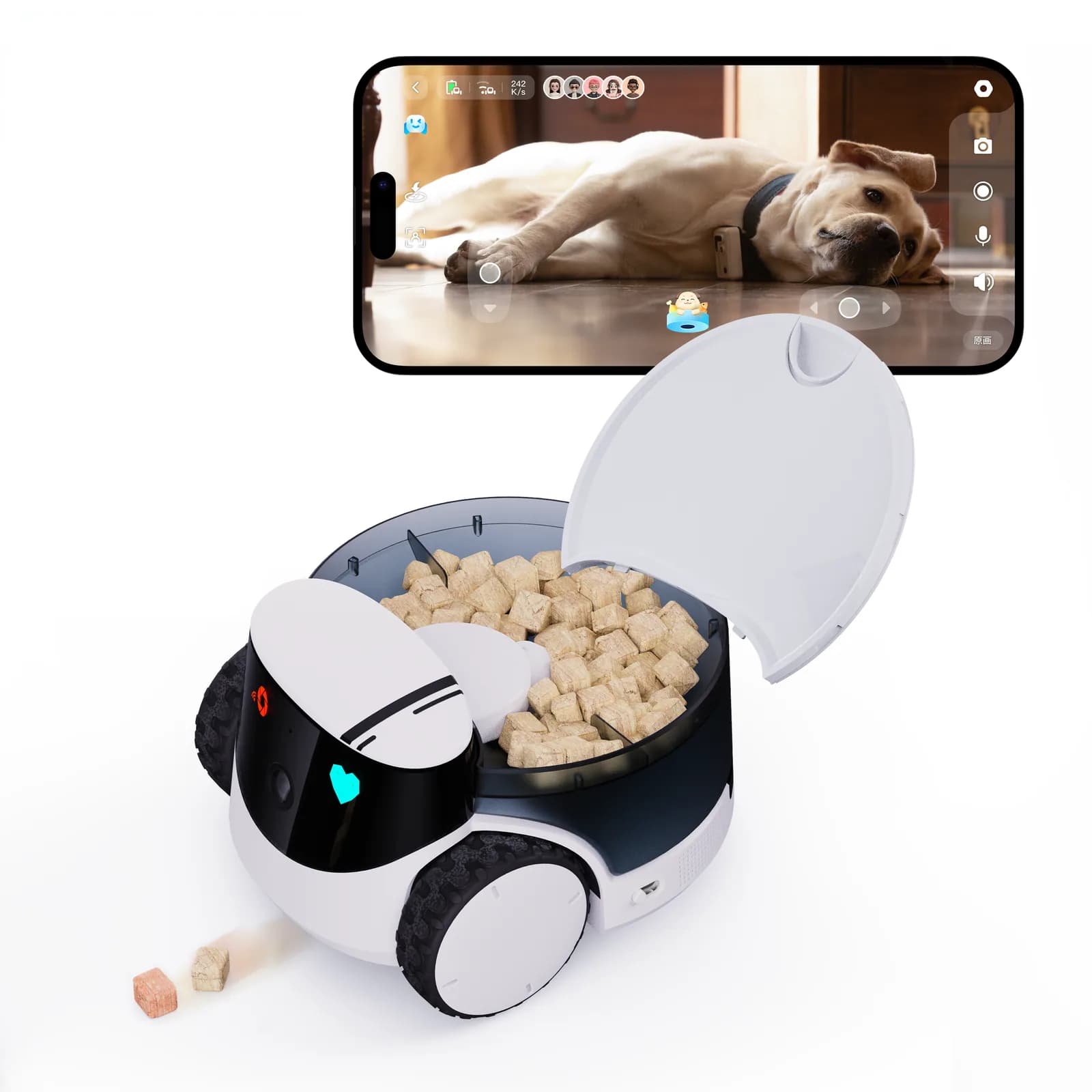 Miaulo Play & Treat Robot, treat module open, with the app view