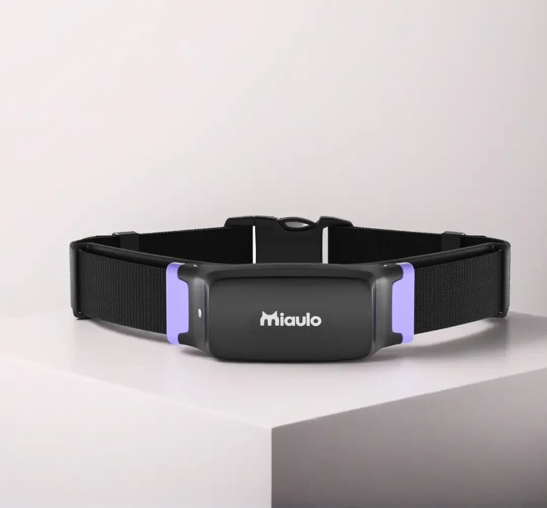 Miaulo Pulse health monitoring collar on a white plinth