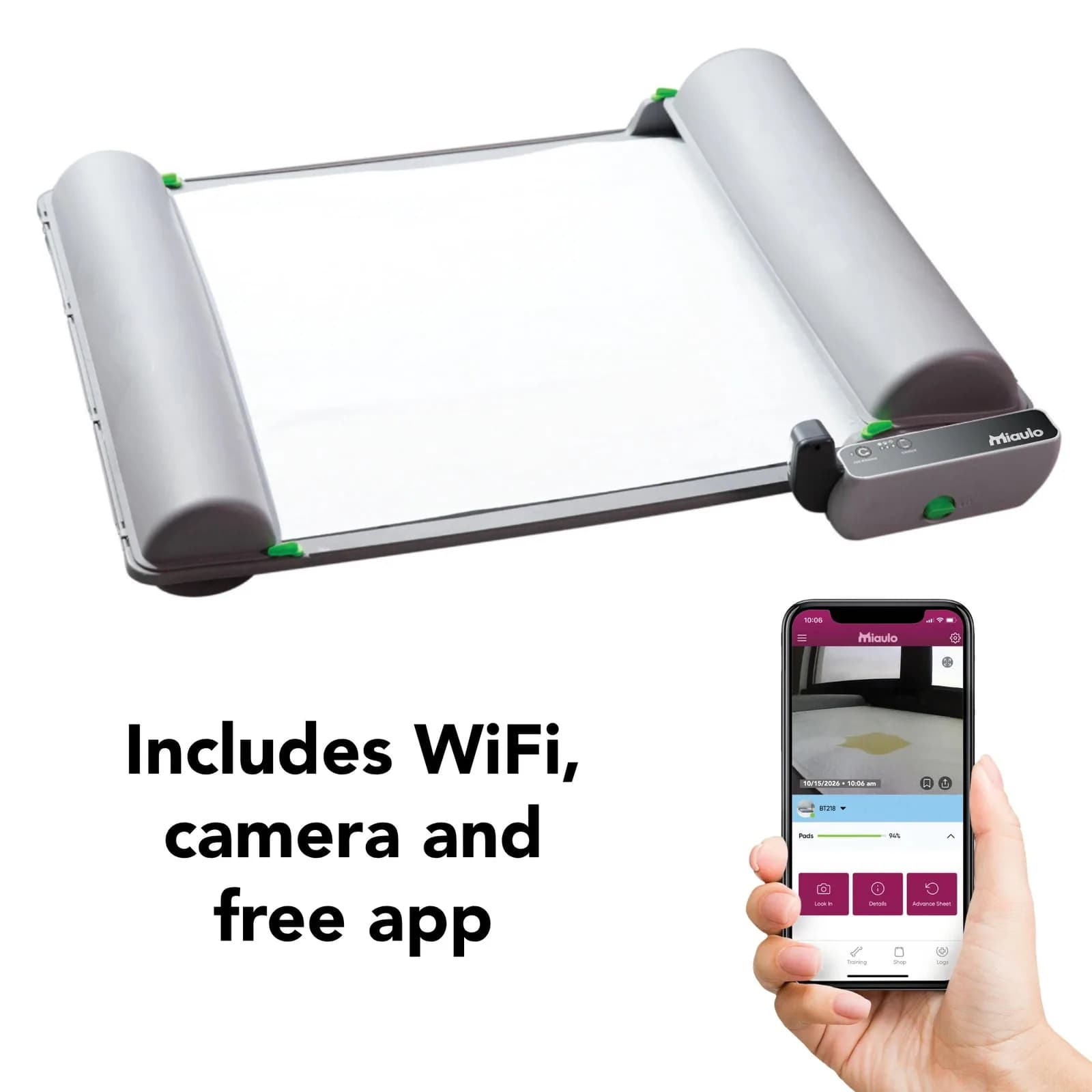 Miaulo Roll Home with the camera view in the app