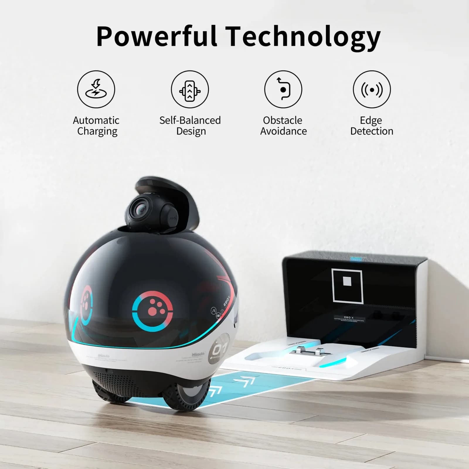 Miaulo Scout driving onto its charging dock
